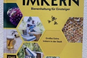 Bienenhaltung für Einsteiger